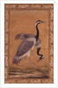 Cranes by Mansur, Jahangir Period, Mughal, 1775 by Indian School