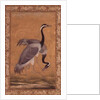 Cranes by Mansur, Jahangir Period, Mughal, 1775 by Indian School