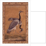 Cranes by Mansur, Jahangir Period, Mughal, 1775 by Indian School