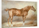 Horse in a Stable by Theodore Gericault