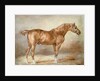 Horse in a Stable by Theodore Gericault