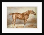 Horse in a Stable by Theodore Gericault