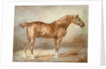 Horse in a Stable by Theodore Gericault