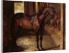 Anglo-Arabian Stallion in the Imperial Stables at Versailles by Theodore Gericault