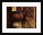 Anglo-Arabian Stallion in the Imperial Stables at Versailles by Theodore Gericault