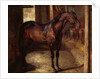 Anglo-Arabian Stallion in the Imperial Stables at Versailles by Theodore Gericault