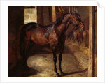 Anglo-Arabian Stallion in the Imperial Stables at Versailles by Theodore Gericault