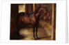 Anglo-Arabian Stallion in the Imperial Stables at Versailles by Theodore Gericault