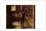 Anglo-Arabian Stallion in the Imperial Stables at Versailles by Theodore Gericault