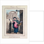 Lavender, Temple Bar by William Marshall Craig