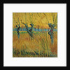 Pollard willows at sunset, 1888 by Vincent van Gogh