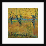 Pollard willows at sunset, 1888 by Vincent van Gogh