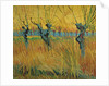 Pollard willows at sunset, 1888 by Vincent van Gogh