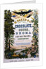 American Advertising Poster for Chocolate and other Cocoa products, 19th century by Anonymous