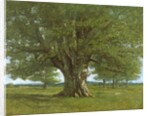 The Flagey Oak Tree, 1864 by Gustave Courbet