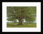 The Flagey Oak Tree, 1864 by Gustave Courbet