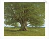The Flagey Oak Tree, 1864 by Gustave Courbet