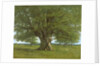 The Flagey Oak Tree, 1864 by Gustave Courbet