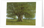The Flagey Oak Tree, 1864 by Gustave Courbet