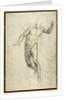 Study for The Last Judgement by Michelangelo Buonarroti