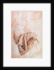 Inv. 1887-5-2-118 Recto Study of drapery by Michelangelo Buonarroti