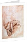 Inv. 1887-5-2-118 Recto Study of drapery by Michelangelo Buonarroti