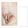 Inv. 1887-5-2-118 Recto Study of drapery by Michelangelo Buonarroti