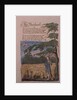 The Shepherd, from Songs of Innocence, 1789 by William Blake