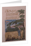 The Shepherd, from Songs of Innocence, 1789 by William Blake