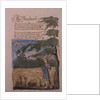 The Shepherd, from Songs of Innocence, 1789 by William Blake