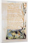 The Tyger by William Blake