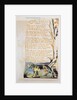The Tyger by William Blake