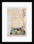 The Tyger by William Blake