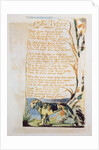 The Tyger by William Blake