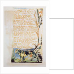 The Tyger by William Blake