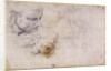 W.60 Sketch of a male head, in two positions by Michelangelo Buonarroti