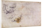 W.60 Sketch of a male head, in two positions by Michelangelo Buonarroti