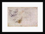 W.60 Sketch of a male head, in two positions by Michelangelo Buonarroti