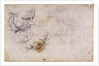 W.60 Sketch of a male head, in two positions by Michelangelo Buonarroti