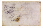 W.60 Sketch of a male head, in two positions by Michelangelo Buonarroti