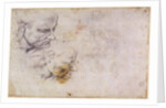 W.60 Sketch of a male head, in two positions by Michelangelo Buonarroti