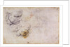 W.60 Sketch of a male head, in two positions by Michelangelo Buonarroti