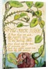 The Sick Rose by William Blake