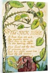 The Sick Rose by William Blake