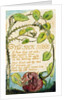The Sick Rose by William Blake