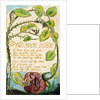 The Sick Rose by William Blake