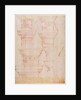 W.18v Study of column capitals by Michelangelo Buonarroti
