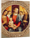 Virgin and Child by Pietro Perugino