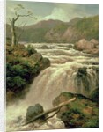 Waterfall on River Neath, South Wales, 19th century by James Burrell Smith