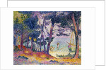 The Pine Wood, 1906 by Henri-Edmond Cross